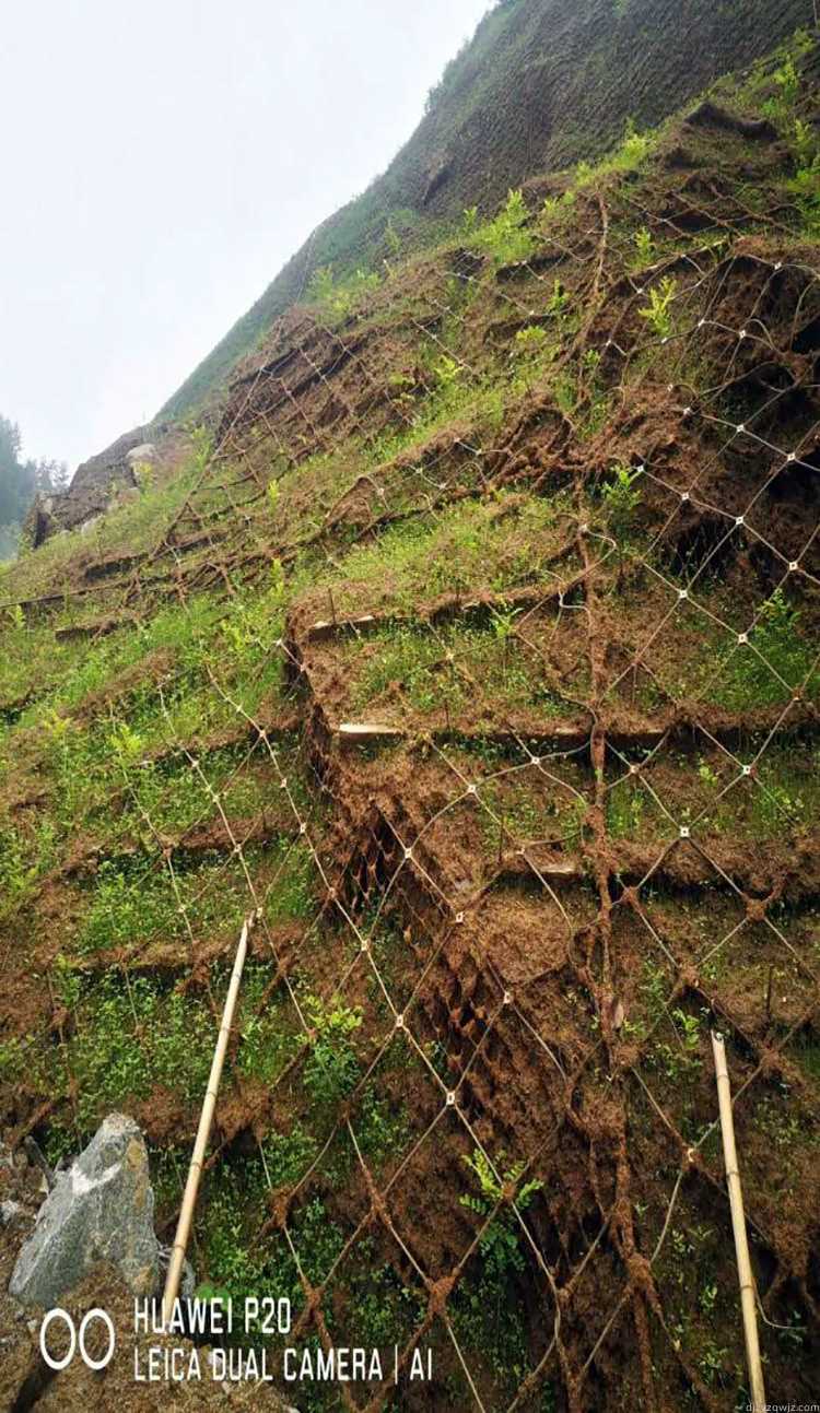 团粒喷播技术在陕西安康几乎垂直岩面上的复绿效果