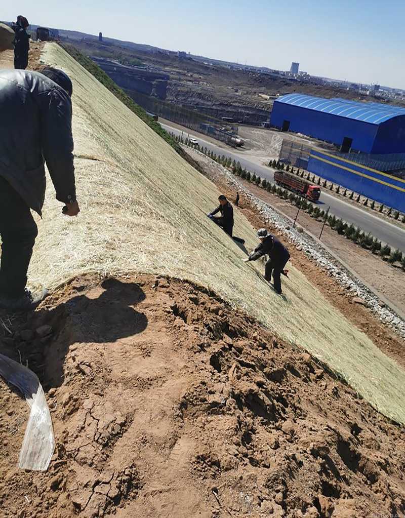 秸秆植被毯用在内蒙矿区边坡绿化